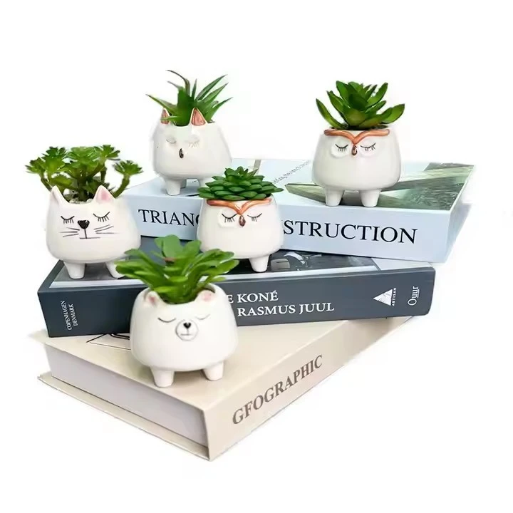 Artificial Meat Grass Plant Bonsai high quality